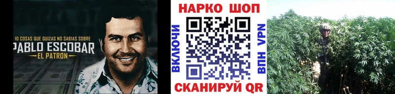 ГАШИШ Белокуриха
