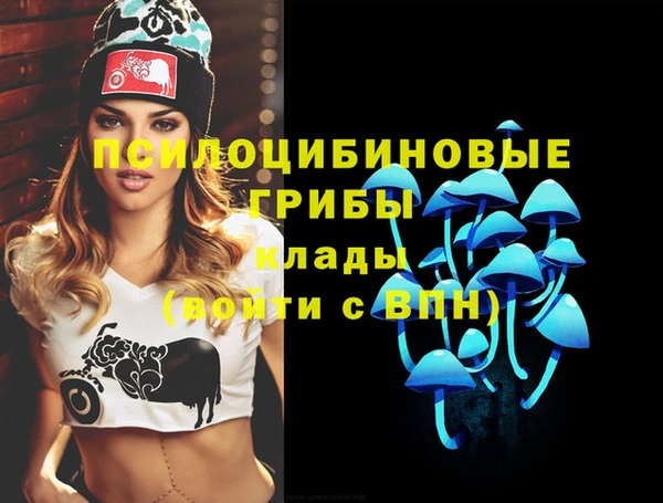MDMA Premium VHQ Беломорск