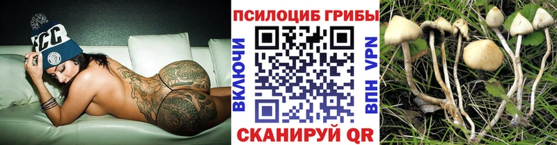 Галлюциногенные грибы Magic Shrooms  Белокуриха 